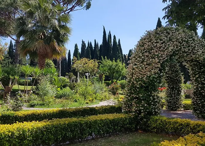Oasis