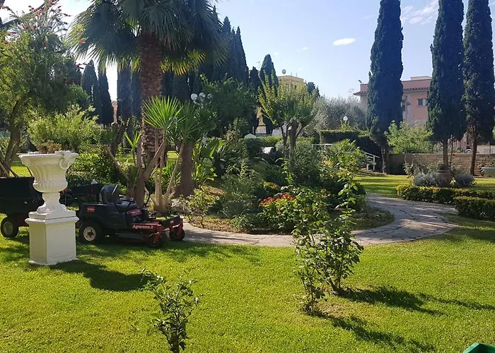 Oasis