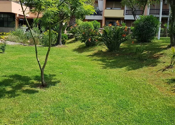 Oasis *